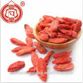 Super Berry Sun Dry Goji Berries Fruta Roja